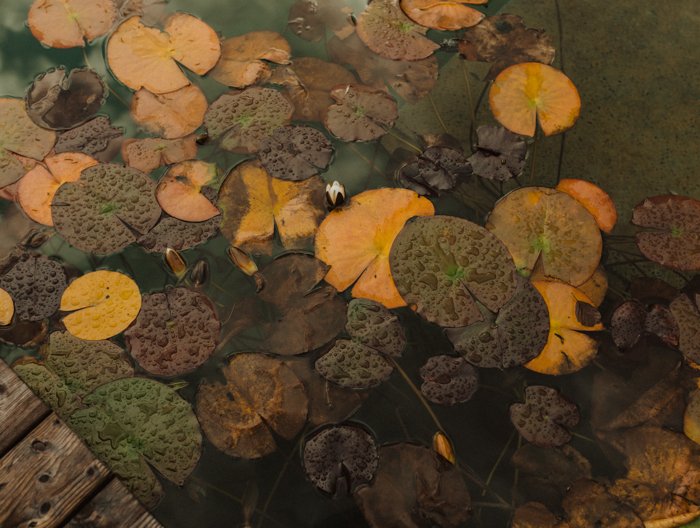 insprationsshooting crestasee schweizer hochzeitsblog